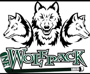 NE WolfPack AA Tryout Camp Info